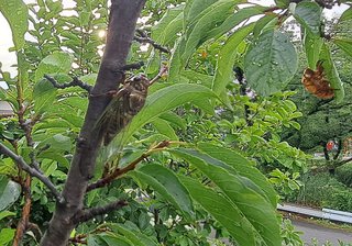 なんかどうでもいいこと聞かせてくれない？