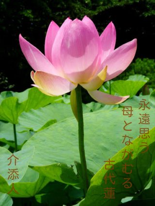 【会場】ママスタ俳句大会2023～夏の陣