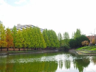 私小学校低学年の時、この池に落ちたんだけど生きてて良かった。