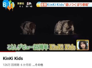 KinKi、面白いね！！爆笑したわ。堂本兄弟最高！