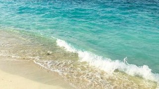 バーベキューの調理器具を洗うため海に入り流される　51歳男性死亡　沖縄・伊平屋島のキャンプ場近く