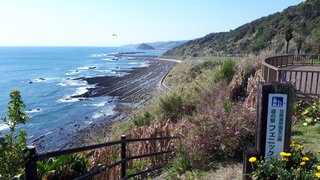 選択子なし専業主婦の私の今日の昼食