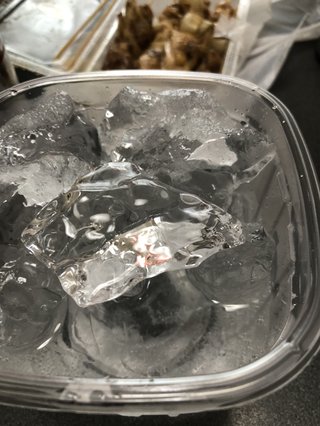 今お酒飲んでる人～