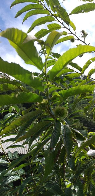 なんかどうでもいいこと聞かせてくれない？