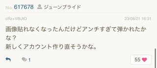 ブロガー桃について