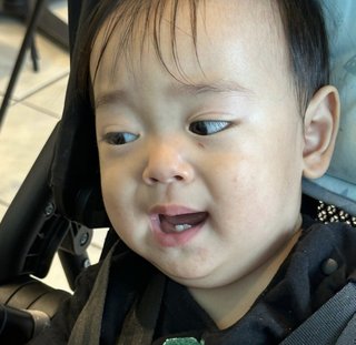 才賀紀左衛門ハイツ