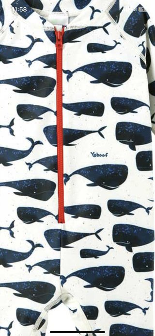 才賀紀左衛門ハイツ