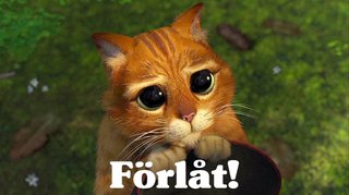 2023 女子ワールドカップの観戦方法