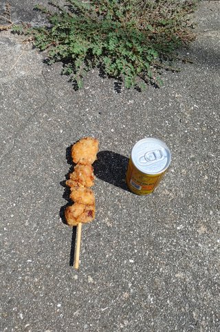 交差点で唐揚げ棒と缶コーヒー拾ったよ！！！
