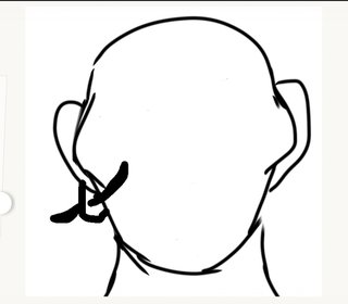 こういう骨格の人いない？