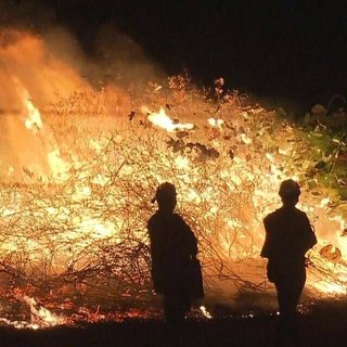 いたばし花火大会、もうナイアガラはやめるべき！