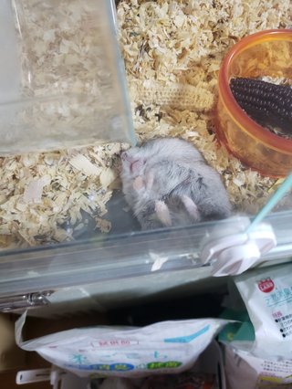 &#x{11:F8E2};なんでもいｰから&#x{11:F8E2};