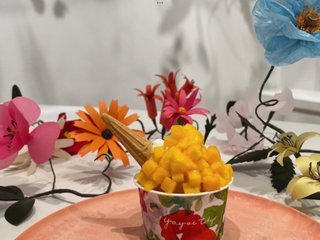 Gin  & Maya  theater