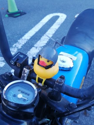 メロメロになっちゃうライダーが続出　ヘルメットを被ったアヒルさんの“ぱふぱふ”ホーンがかわいすぎ