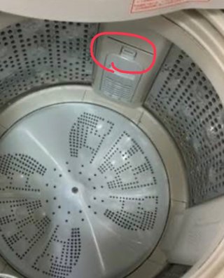 洗濯物を洗濯機に入れて回そうとしたらゴキブリが隙間に入っていった