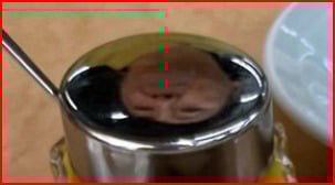 みきママ＆はやパパ