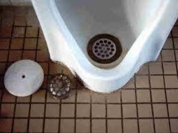【島根】男子トイレの小便器用目皿コレクター　窃盗で逮捕される