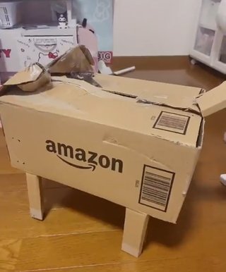 猫が倒れた！！獣医さんは居ませんか！！？？