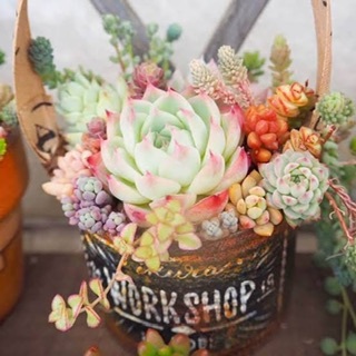 ≪チラ裏≫独り言