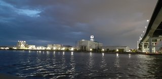 &#x{11:F8E2};なんでもいｰから&#x{11:F8E2};