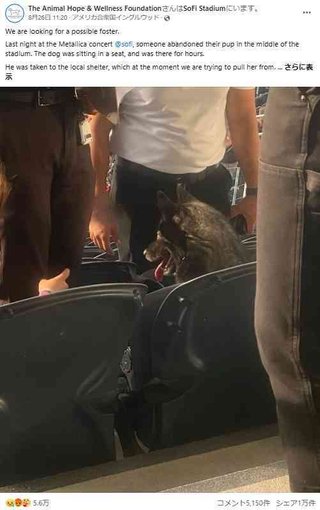 行方不明になった愛犬、ヘヴィメタル・バンドのライブ会場で見つかり飼い主も大笑い（米）