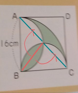 これ分かりますか？