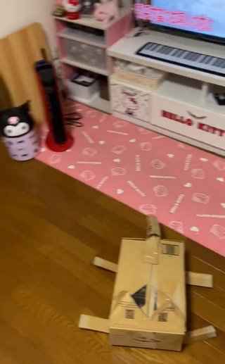 猫が倒れた！！獣医さんは居ませんか！！？？