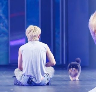 TBS【CDTV ライブ！ライブ！】月曜・22時