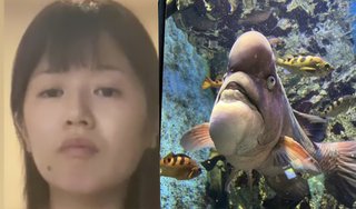 小林礼奈と才賀紀左衛門どっちがまだマシな親なんだろう