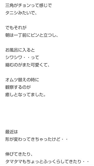 【アメブロ】アラフィフ初産　母になる(ログイン不要版)