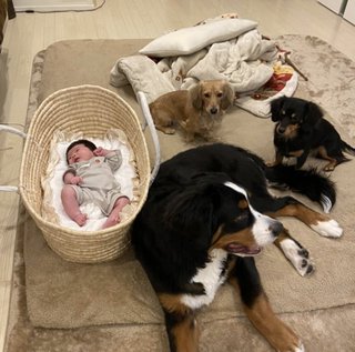 でっぱりんブログ