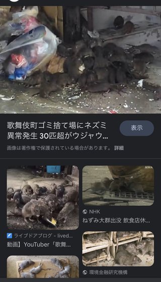 フランスでトコジラミが大量発生