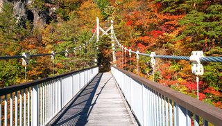 &#x{11:F8E2};なんでもいｰから&#x{11:F8E2};