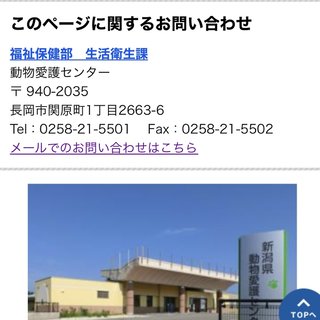 小林礼奈と才賀紀左衛門どっちがまだマシな親なんだろう