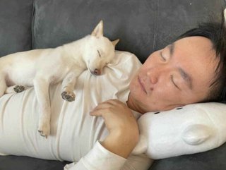 千鳥とかまいたちどっちが好き？