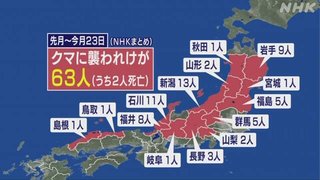 熊の被害が多い地域