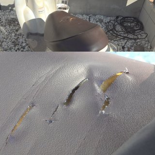 クマと原付バイクが衝突　手提げ袋に入れた はちみつ飴が食い荒らされる【山梨県】