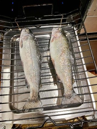 みきママ＆はやパパ