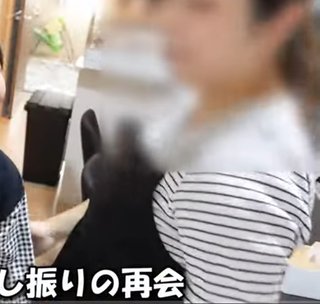 じゅんしファミリーの生きる道