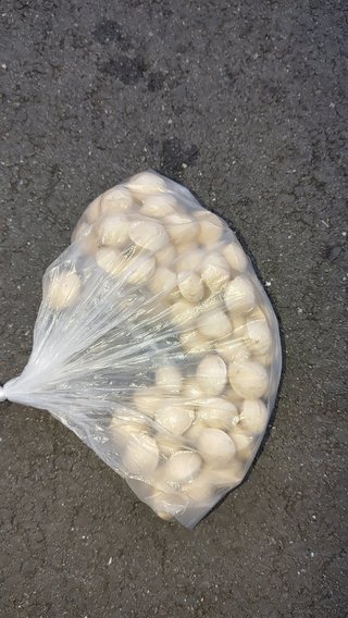 蒸し器がないんだけど茶碗蒸しの作り方を教えて下さい！
