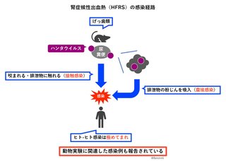 フランスでトコジラミが大量発生