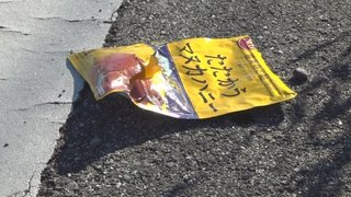 クマと原付バイクが衝突　手提げ袋に入れた はちみつ飴が食い荒らされる【山梨県】