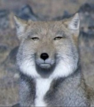 フジ【世にも奇妙な物語'23 秋の特別編】