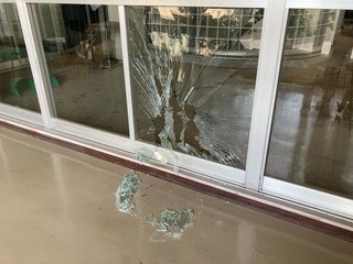 【仙台】高校でイノシシ大暴れ、体育館などの窓ガラス次々突き破る…通行人にぶつかり逃走中
