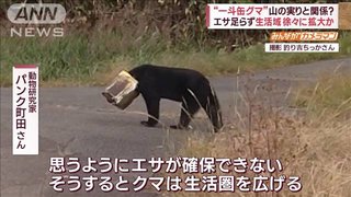 【秋田】（動画アリ）頭に一斗缶をかぶったクマが道路を徘徊