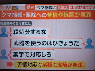 ｢クマ被害｣激増も駆除にクレーム殺到…｢クマ殺すな｣と訴える人は野生のクマと同じで話が通じない
