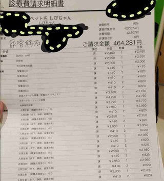 愛猫が急病で入院、その医療費46万円超…！　リアルな金額公開に飼い主が“命”と向き合う覚悟を