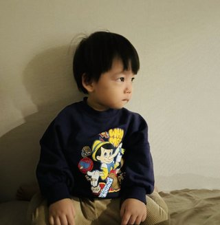 豆腐とズミと節男(雑談)