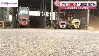 【秋田】ネコにえさを与えていた男性がクマに襲われけが　牛舎近くでもみ合いになる　大仙市