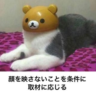拾い画貼って